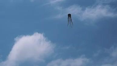 天空中漂浮的黑色风筝视频的预览图